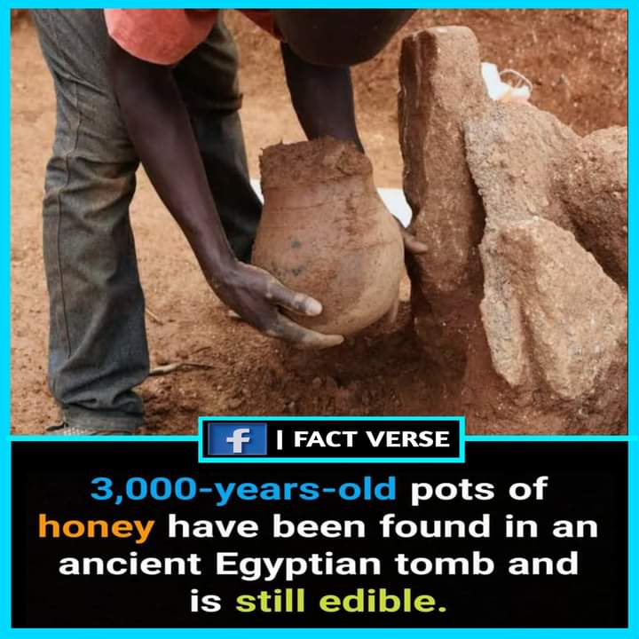 Pollen Buzz Initiative tweet media