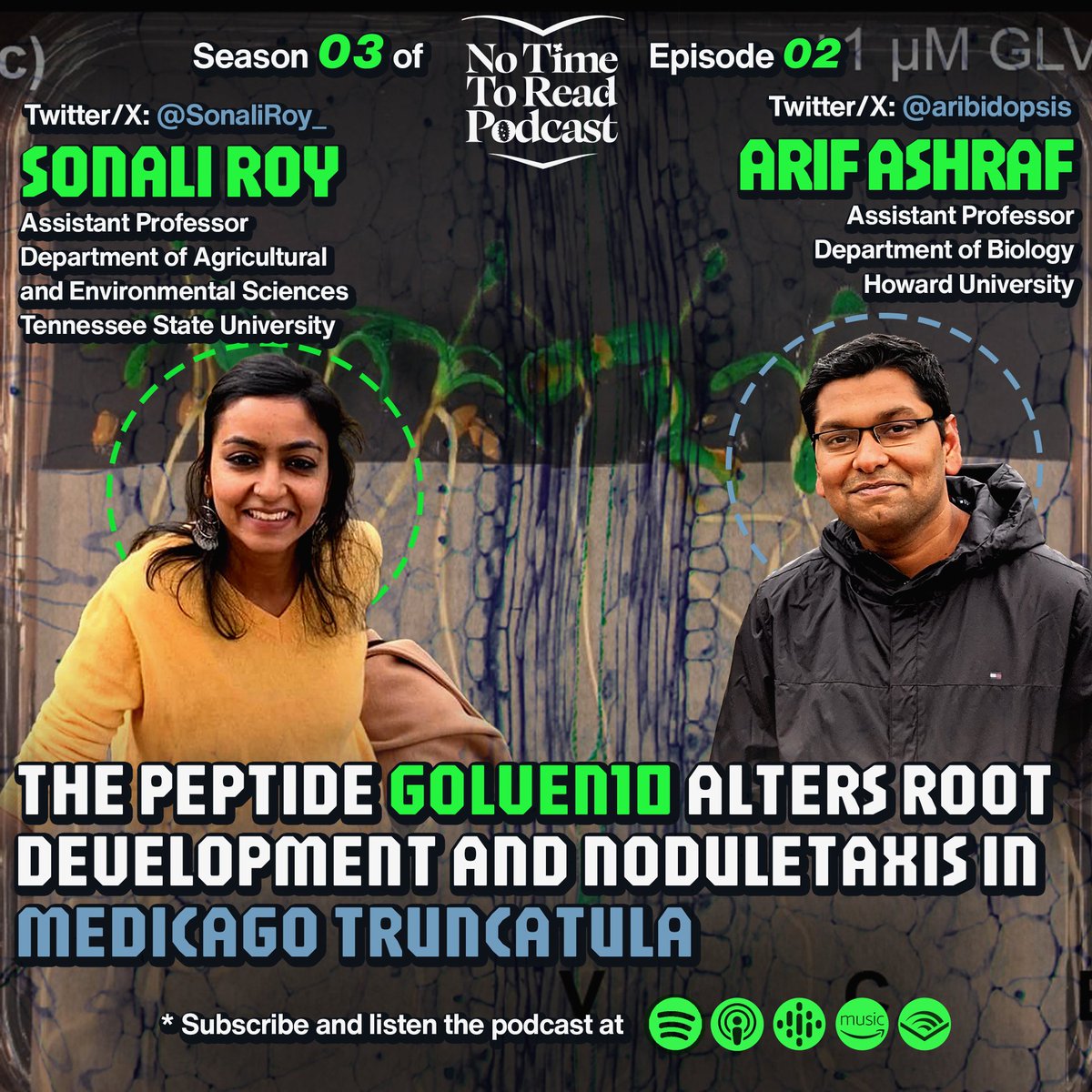 Latest episode of the #No_Time_To_Read podcast! 🎙️

In this episode, we discussed about the root development and noduletaxis in Medicago truncatula with Sonali Roy <a href="/SonaliRoy_/">Sonali Roy</a> 

Podcast: podcasters.spotify.com/pod/show/no-ti… 
Article <a href="/ThePlantJournal/">The Plant Journal</a>: onlinelibrary.wiley.com/doi/full/10.11…