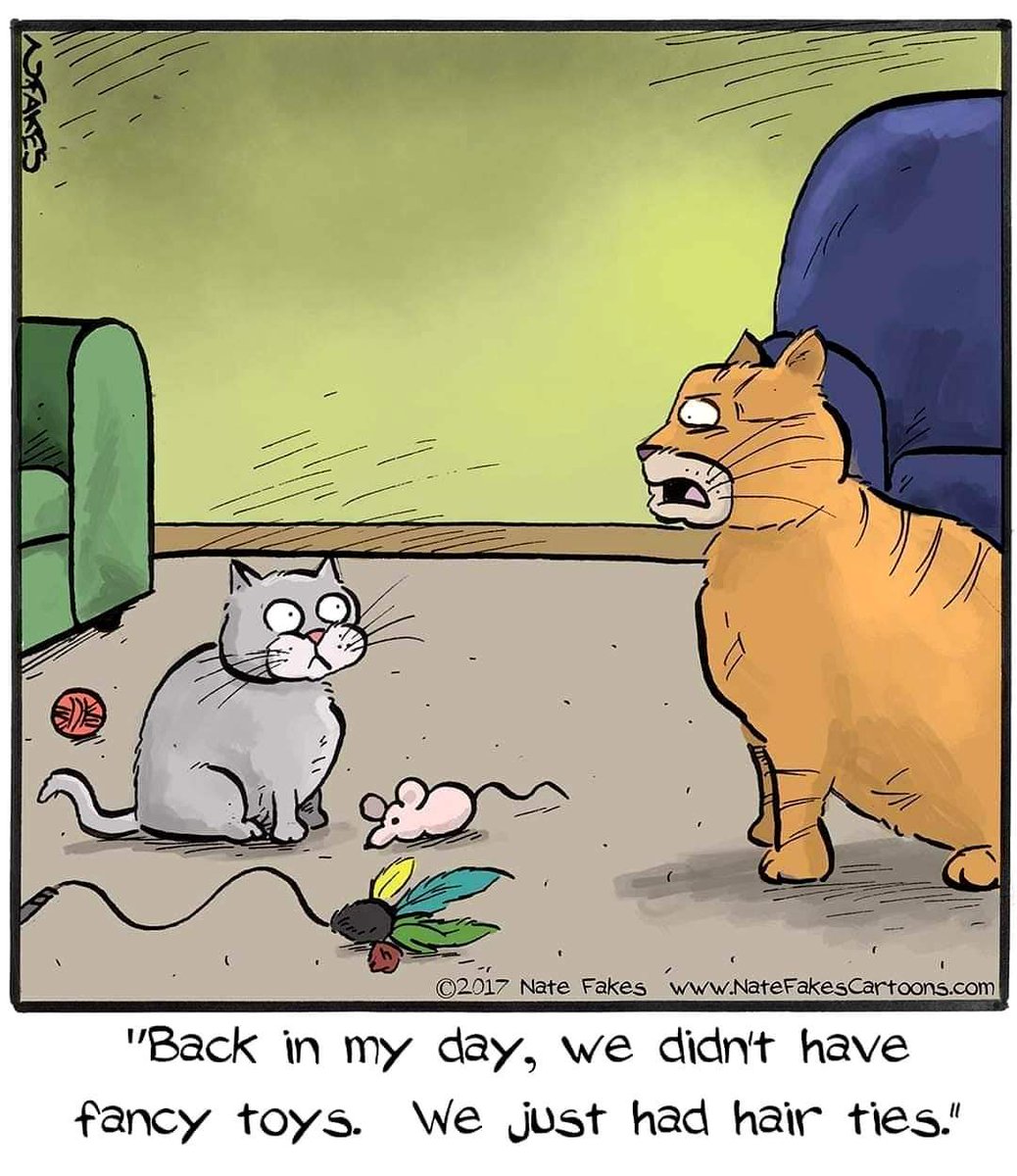 Planet Shark Productions (@planetshark) on Twitter photo Happy #Caturday π» <a href="/ModelCarolAlt/">Carol Alt</a> <a href="/libbytalks/">Libby Baker Sweiger</a> <a href="/jeffsheehan/">Jeff Sheehan Author | Mktg Consultant | Speaker</a> <a href="/tripletsfan19/">Rick</a> <a href="/gigirules7/">Regina Spacola</a> <a href="/_AnimalAdvocate/">ANIMAL ADVOCATE β</a> <a href="/DissentingCat/">Smudge The Insult Cat π</a> <a href="/animalsavemvmt/">Animal Save Movement</a> @lovely_pets_12 <a href="/PlanetSharkFit/">Planet Shark Fitness</a> <a href="/MarktheSpaman/">Mark A. McKenney</a> <a href="/JohnMcGrathMB/">John McGrath</a> <a href="/PostsOfCats/">Posts Of Cats</a> <a href="/meowmix/">Meow Mix</a> <a href="/odette2206/">Against Animal Abuse</a> π» Happy #Caturday π» <a href="/ModelCarolAlt/">Carol Alt</a> <a href="/libbytalks/">Libby Baker Sweiger</a> <a href="/jeffsheehan/">Jeff Sheehan Author | Mktg Consultant | Speaker</a> <a href="/tripletsfan19/">Rick</a> <a href="/gigirules7/">Regina Spacola</a> <a href="/_AnimalAdvocate/">ANIMAL ADVOCATE β</a> <a href="/DissentingCat/">Smudge The Insult Cat π</a> <a href="/animalsavemvmt/">Animal Save Movement</a> @lovely_pets_12 <a href="/PlanetSharkFit/">Planet Shark Fitness</a> <a href="/MarktheSpaman/">Mark A. McKenney</a> <a href="/JohnMcGrathMB/">John McGrath</a> <a href="/PostsOfCats/">Posts Of Cats</a> <a href="/meowmix/">Meow Mix</a> <a href="/odette2206/">Against Animal Abuse</a> π»