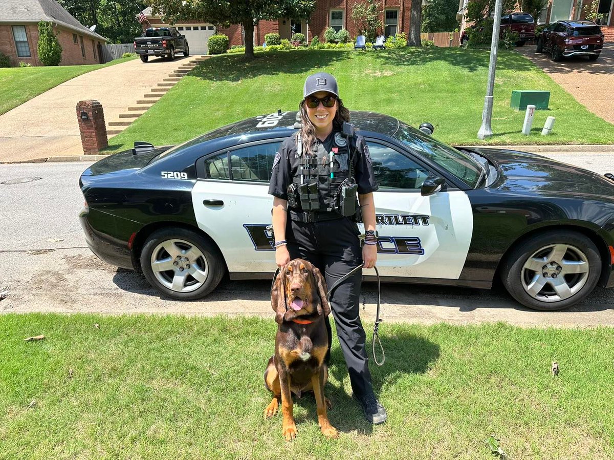 Good work, K9 Gus! Gus and his handler, Officer H. Haler, recently helped locate a family who got lost on local park trails. They successfully tracked the family down and led them out of the park! This was their first 'off training' track, & they did a fantastic job! #k9 #k9teams