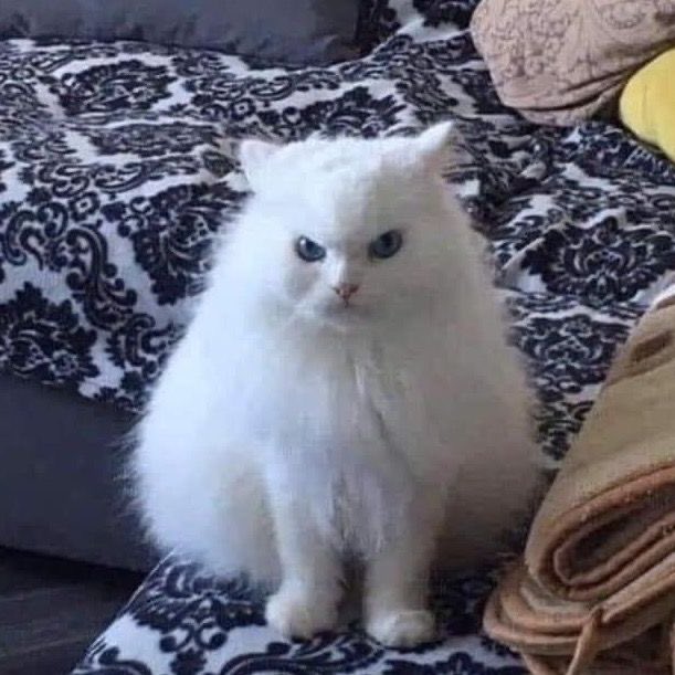 หนุ่มเฟรนลี่                                  กับคุณหนูสุดหยิ่ง