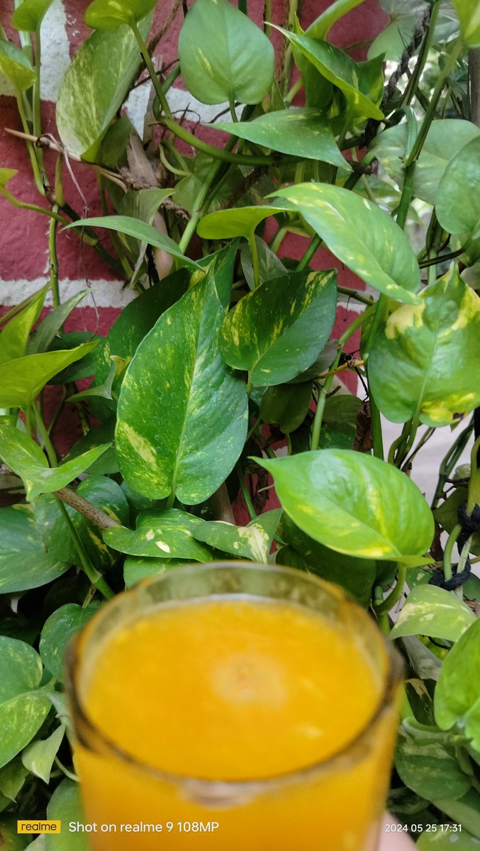 97Satapathy's tweet photo. Good evening friends 😊
Refreshing mango 🥭 juice 🥤🥤..
#ଋତୁ ଫଳ 
#ଆମ୍ବ ରସ 
#ଶୁଭ ସନ୍ଧ୍ୟା https://t.co/YaYzzwHGZr