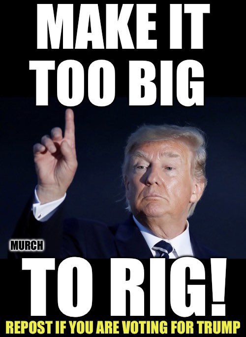It doesn’t matter who the democrats put forth, whether it’s senile Joe Biden, or Gavin Newsom, they are going to cheat & try to steal it again like they were guilty of in 2020. The best way to combat that is to literally make it TOO BIG TO RIG! Who’s voting for Trump?🙋‍♂️