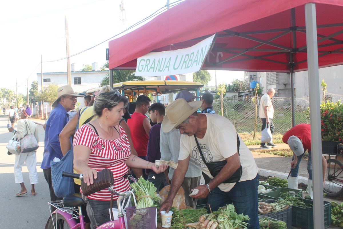 nuestroremedios's tweet photo. 🌾| Como se hace habitual cada sábado, tiene lugar desde bien temprano la Feria Agrocomercial Cultural en #NuestroRemedios.

#JuntosPorVillaClara
#YoRindoCuenta https://t.co/pWrub2UpuC