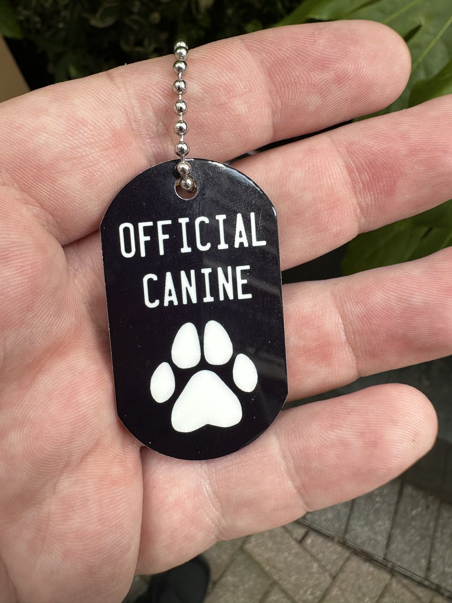 Simba_Thom's tweet image. It’s official, thank you @HaydoLab for the dog tag