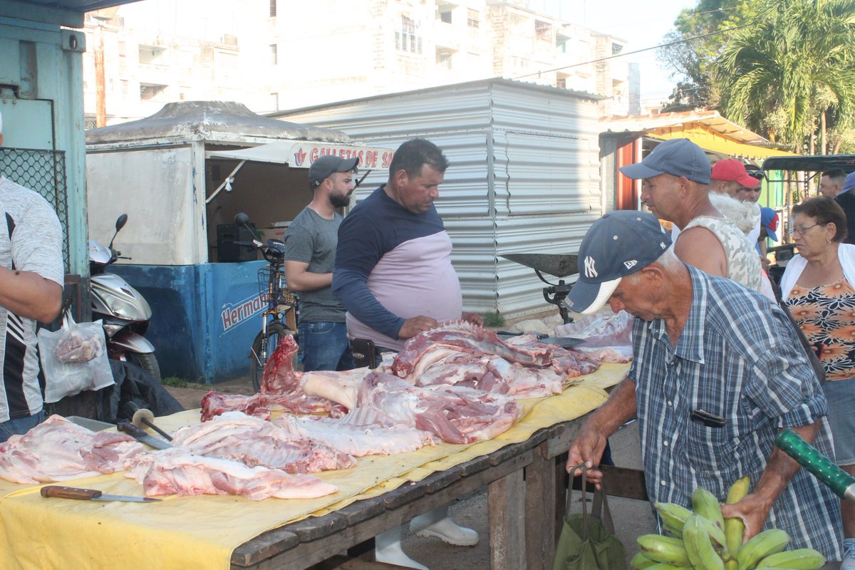 nuestroremedios's tweet photo. 🌾| Como se hace habitual cada sábado, tiene lugar desde bien temprano la Feria Agrocomercial Cultural en #NuestroRemedios.

#JuntosPorVillaClara
#YoRindoCuenta https://t.co/pWrub2UpuC