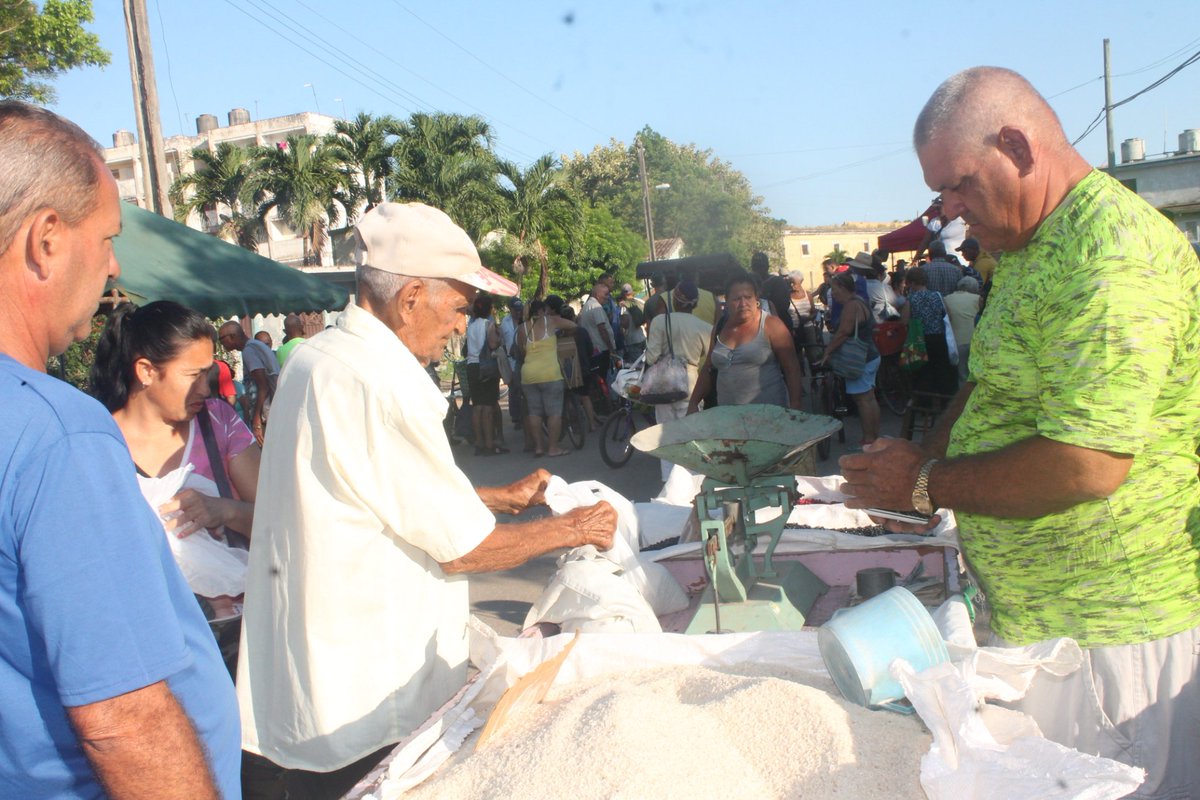 nuestroremedios's tweet photo. 🌾| Como se hace habitual cada sábado, tiene lugar desde bien temprano la Feria Agrocomercial Cultural en #NuestroRemedios.

#JuntosPorVillaClara
#YoRindoCuenta https://t.co/pWrub2UpuC