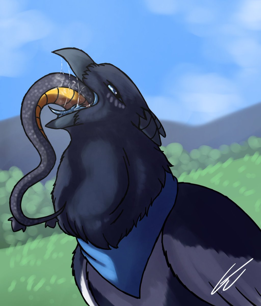 Eee drew <a href="/SlimyJaws/">https://bsky.app/profile/slimyjaws.com</a> magpie Fang who seems to have found themselves a snake meal aaa, was a surprisingly fast draw of 46 minutes XD