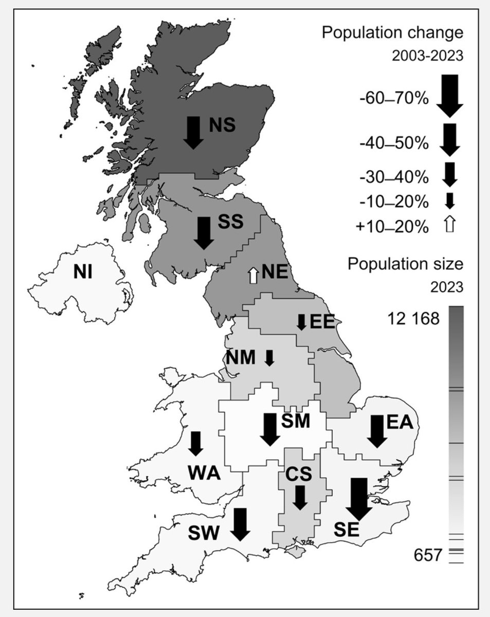 The trend is clear for Woodcock - especially in the SE. Important that we keep the long term Kent monitoring sites going!
Please submit all records of roding Woodcock in Kent for this and future years. Thanks.
#KentishPlover