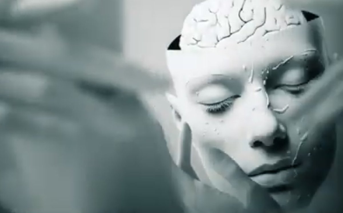 鎌田瑞輝 tweet media