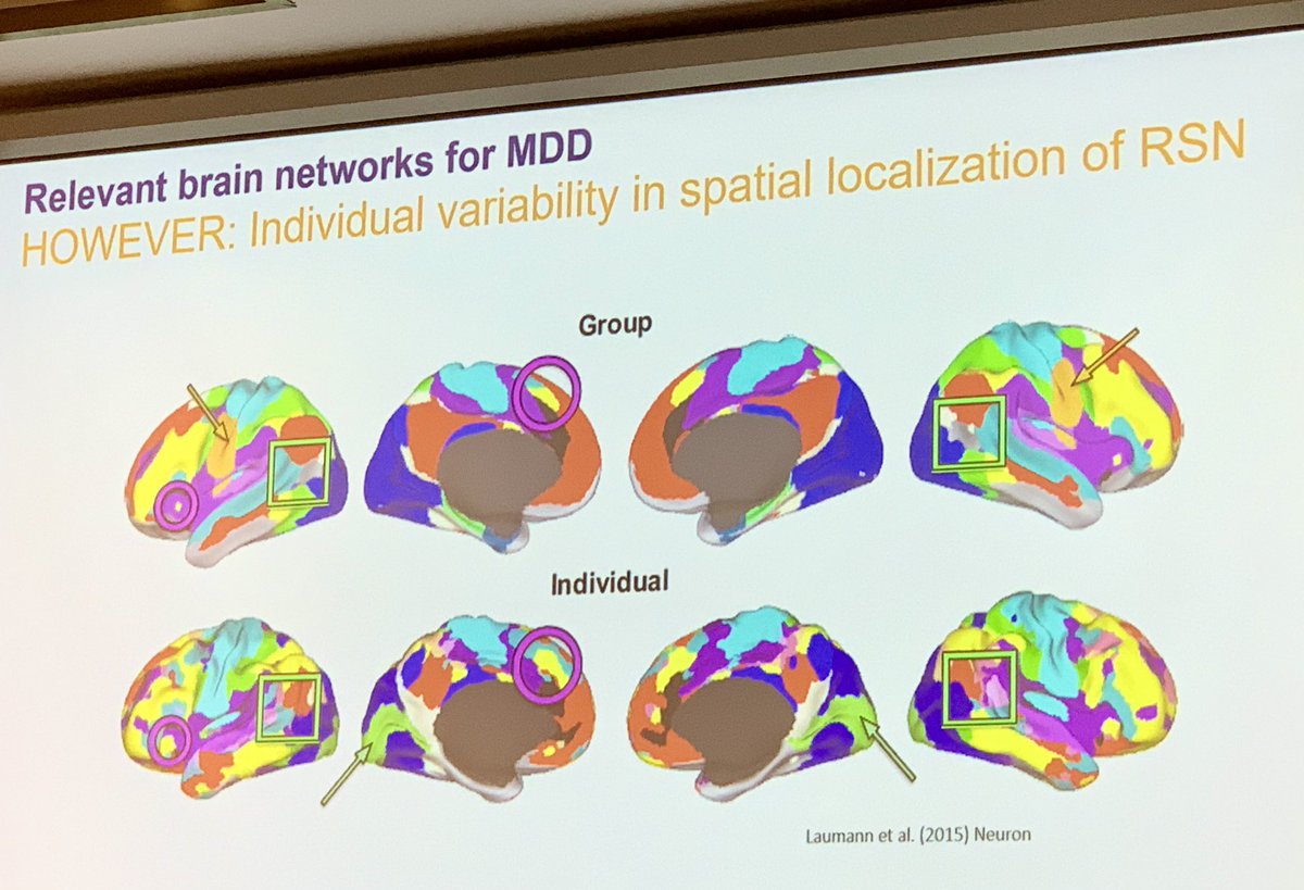 But the fine grained mapping of individual resting state brain functional networks suggests you should use the region in the dorsolateral prefrontal cortex with maximal anticorrelation to the subgenual region and use that for targeting transcranial 10 Hz magnetic stimulation and