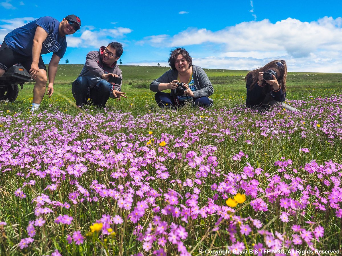 Get ready for summer in Mongolia! 🌼 Embrace the beauty of nature as flowers bloom and the wilderness beckons. It's the perfect time to explore and reconnect with the great outdoors. Are you excited for the adventures that