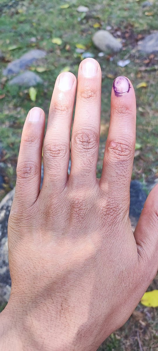 ErShahidKasmiri's tweet photo. "Voted with my squad for #PMelection! 🗳️ Democracy in action with friends. Now, time for a Change! 📸 #CivicDuty #DemocracyMatters"
I voted along with my friends @OfficinalF & Ashiq khanday.
#election_2024 https://t.co/1CJjSwanWi