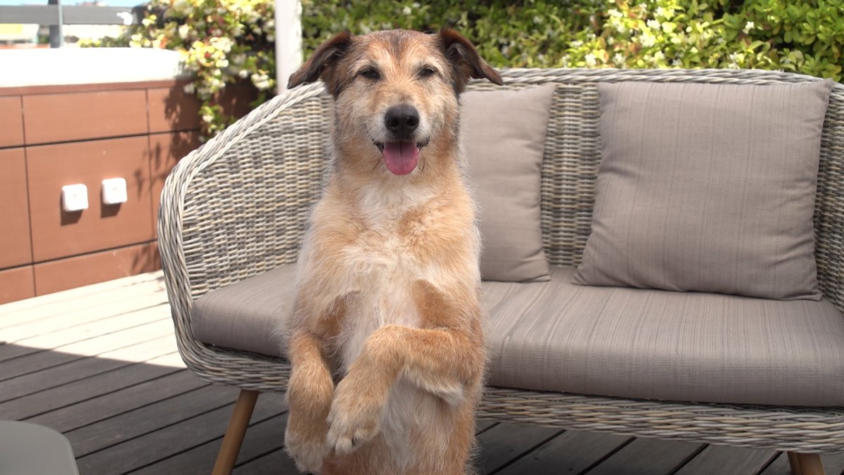 BBC Talking Movies tweet media