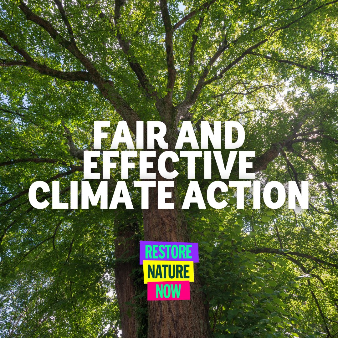 🌳 We cannot save nature without solving the #ClimateCrisis. 📢 Join us in London on 22 June and call for fair and effective climate action. 👉 restorenaturenow.com #RestoreNatureNow