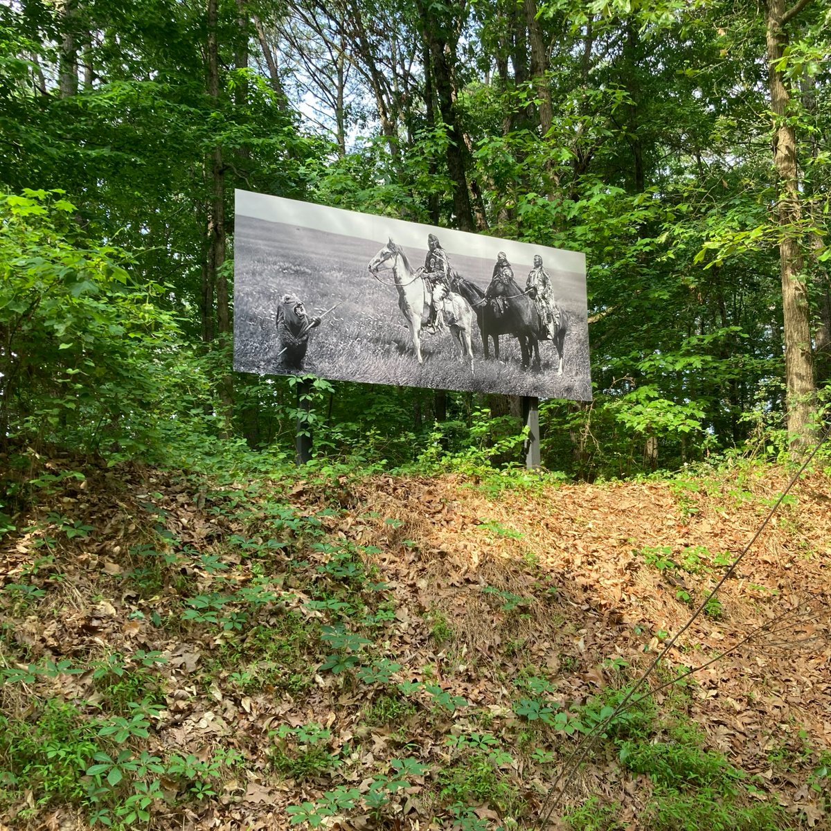 Explore the Museum Park trails to find today's #ArtSpotlight Park Billboards: Steven Paul Judd The series is on view through October 2024 in the #NCMApark. The Museum Park is open daily from dawn to dusk.