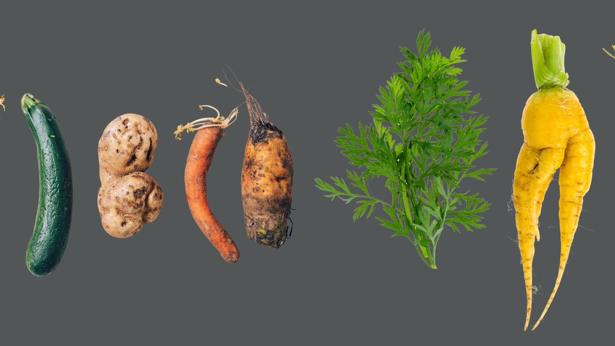 'Ugly' food holds its own beauty. And it’s still nutritious. Discarding less-than-perfect produce leads to immense food waste. Find beauty in the imperfect.