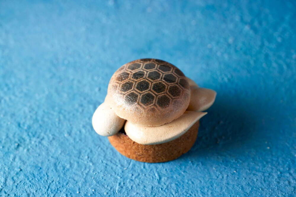 fashionpressnet's tweet photo. すみだ水族館の海の生き物がスイーツに！ハイアット セントリック 銀座 東京でコラボアフタヌーンティー - https://t.co/mts0au40Jb https://t.co/y28zOrYM2F