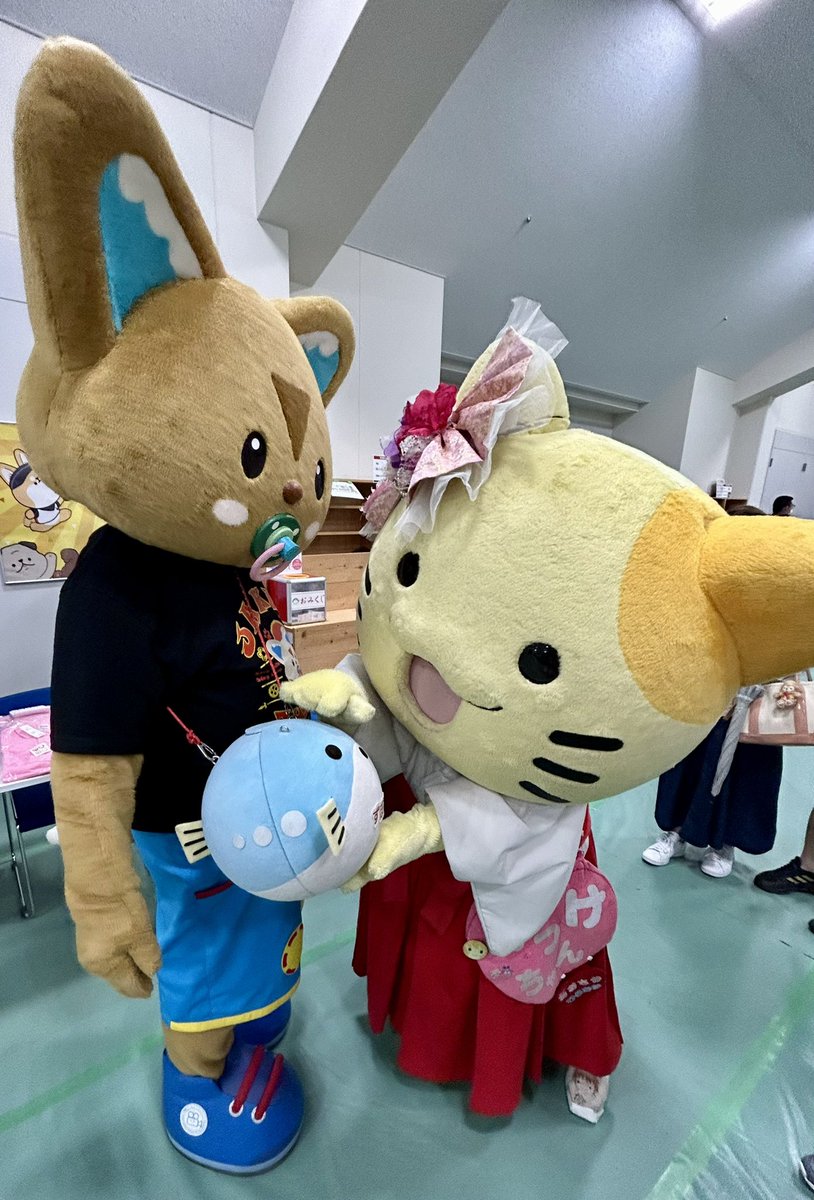 にゃんฅ⌯˃̵ ᴗ ˂̵⌯੭ु⁾⁾