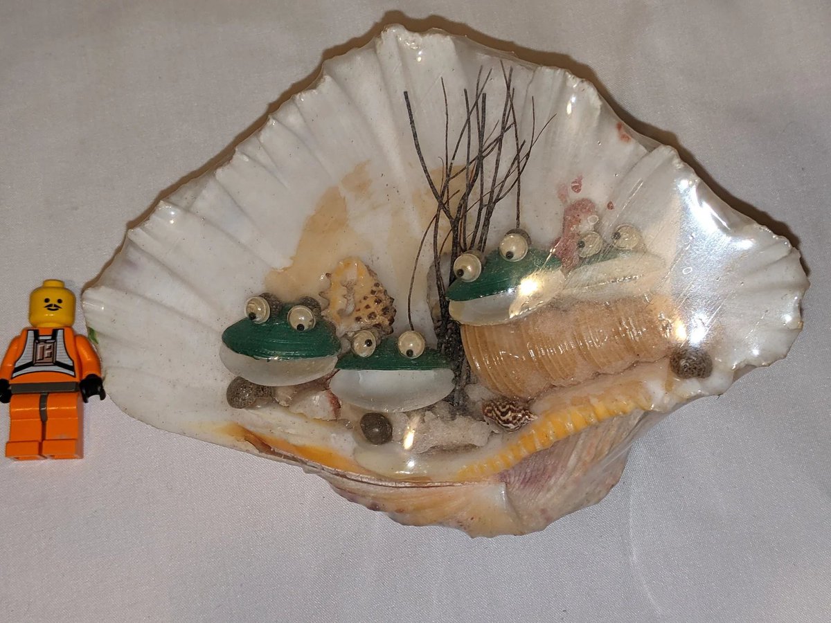 Boondockfinds's tweet photo. Seashell People in kitsch Diorama Vintage Souvenir Beach Decor Clam Shell https://t.co/Ce3nWI09DS via @Etsy #seashell #Collectibles #kitsch #shellpeople #diorama #etsyvintage https://t.co/qcFiFGgRov