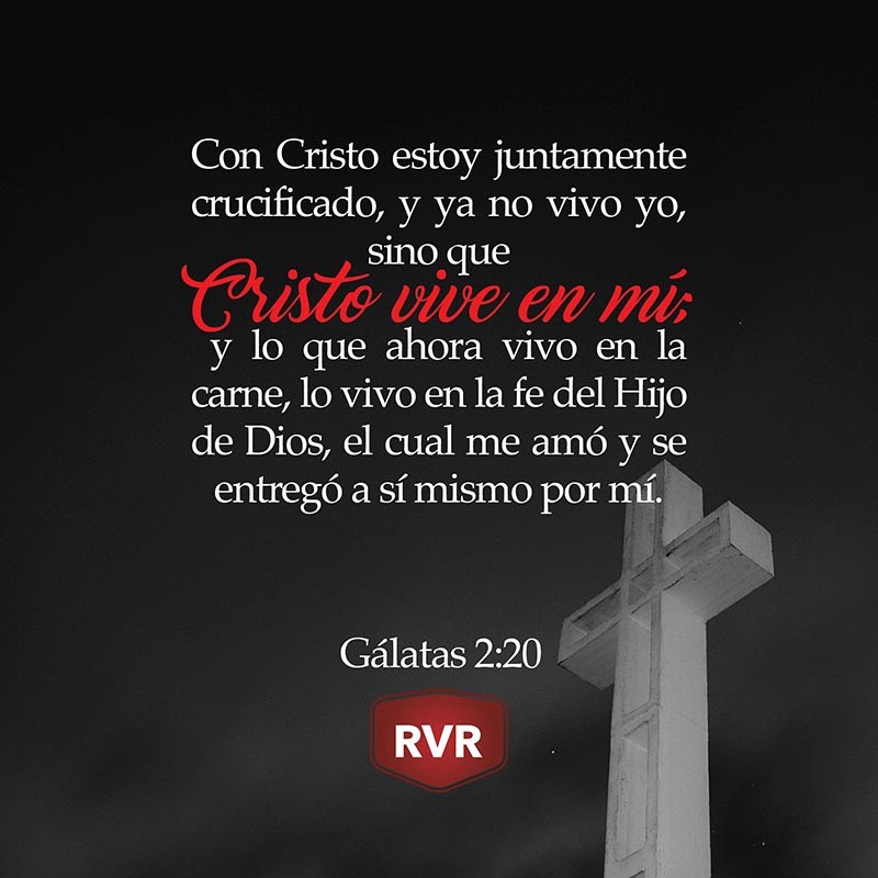 GotTirsa's tweet photo. 📖🙏 Dios te bendiga https://t.co/T1DlHL1grm