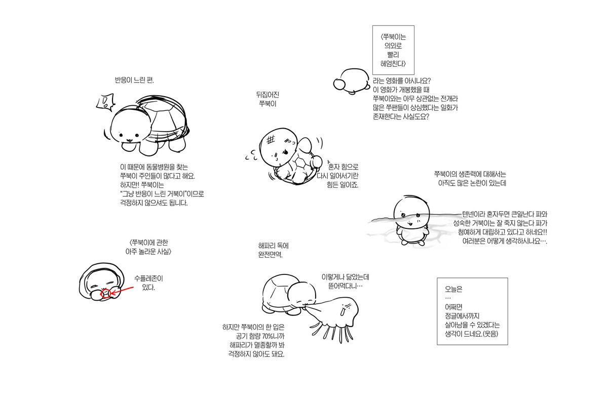 쭈북이에 관한 사소하고 놀라운 사실들

어린이 대백과자사전 24권 115페이지 발췌