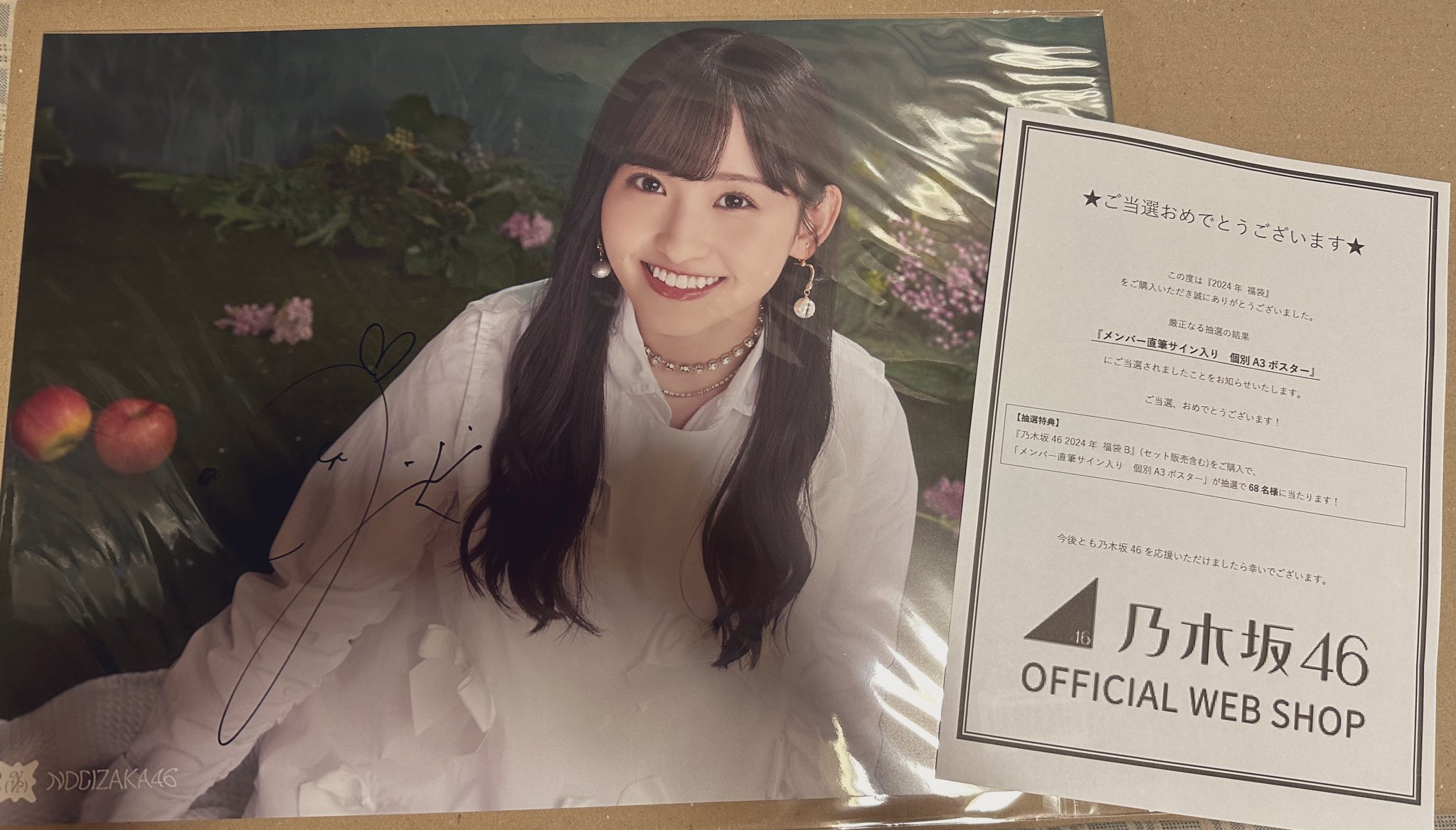 堀未央奈 直筆 ポスター 冨里奈央【直筆サイン入りポスター】 乃木坂46