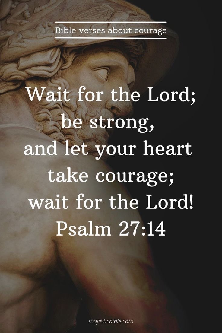 Psalms 27:14 KJV 
 
🤍 “Wait on the LORD: be of good courage, and he shall strengthen thine heart: wait, I say, on the LORD.” 🤍