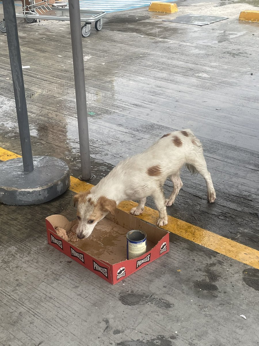 Mary ‎Acda tweet media