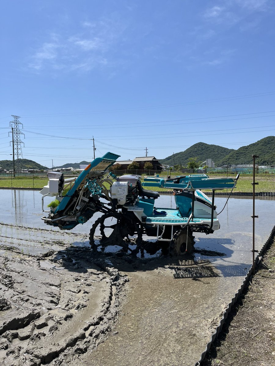 tyouninn_farm's tweet photo. 令和6年田植えスタートです!!🌾
初日から真夏並みの日差しと気温で普段以上に体力消費します😇
代掻きもナイターです!!🚜
本当に忙しくて大変で疲れるけどこれがまた楽しいんだよな😘
#水稲農家 #高校生農家
#田植え #代掻き
#クボタ #田植え機 #EP55
#トラクター #SL35 https://t.co/rA03QQEVoh