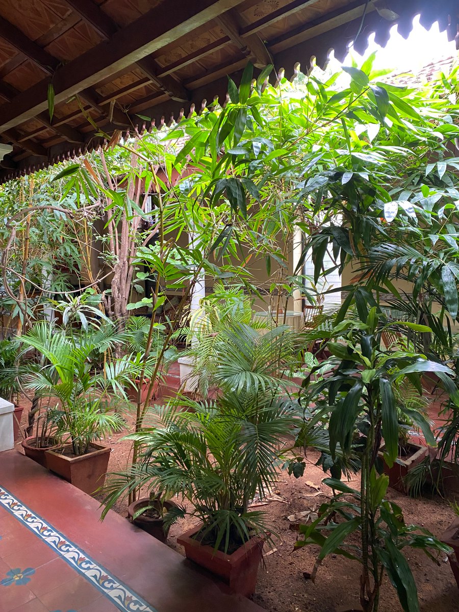 Mysore, you were magnificent!♥️✨