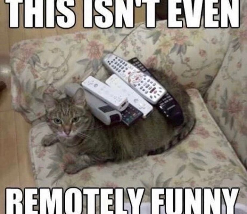 Punch Cat (@punchingcat) on Twitter photo 