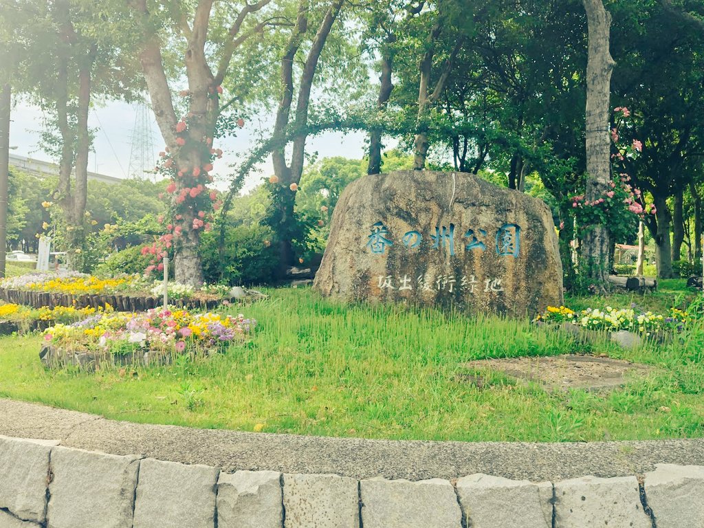 Starmemory83's tweet photo. 番の州公園に午後から友達と行ってきました。
いろんな薔薇が咲いていて綺麗だったし
ほのかに香る薔薇の匂いに
木々の香りに癒されるました(◦ˉ ˘ ˉ◦) https://t.co/6gVBDSOn6T
