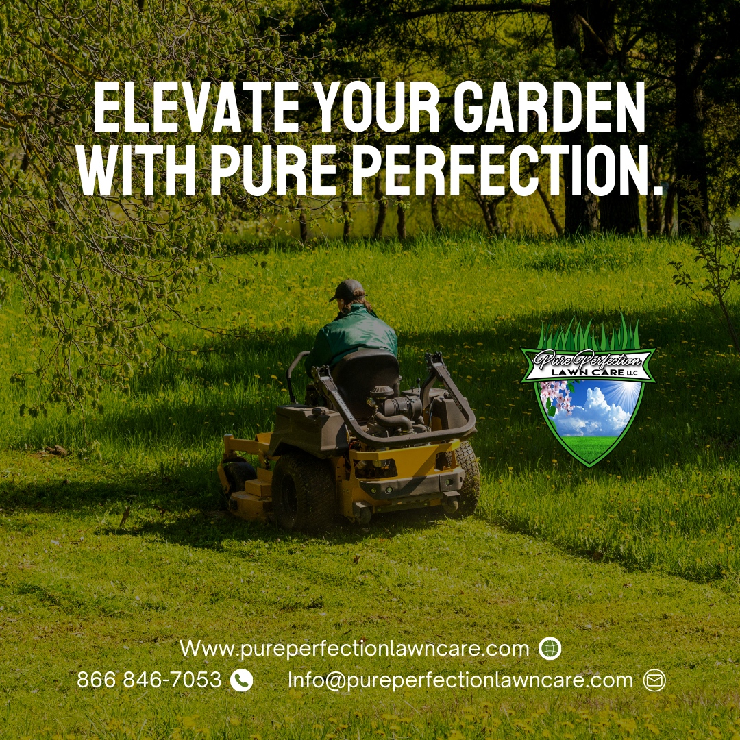 Let us bring out the true beauty of your garden with our dedication to excellence and attention to detail. 🌸 

Experience garden perfection with us!

 🌐 pureperfectionlawncare.com
📞 866 846-7053
📧 Info@pureperfectionlawncare.com

#PurePerfectionLawnCare #lawngoals
