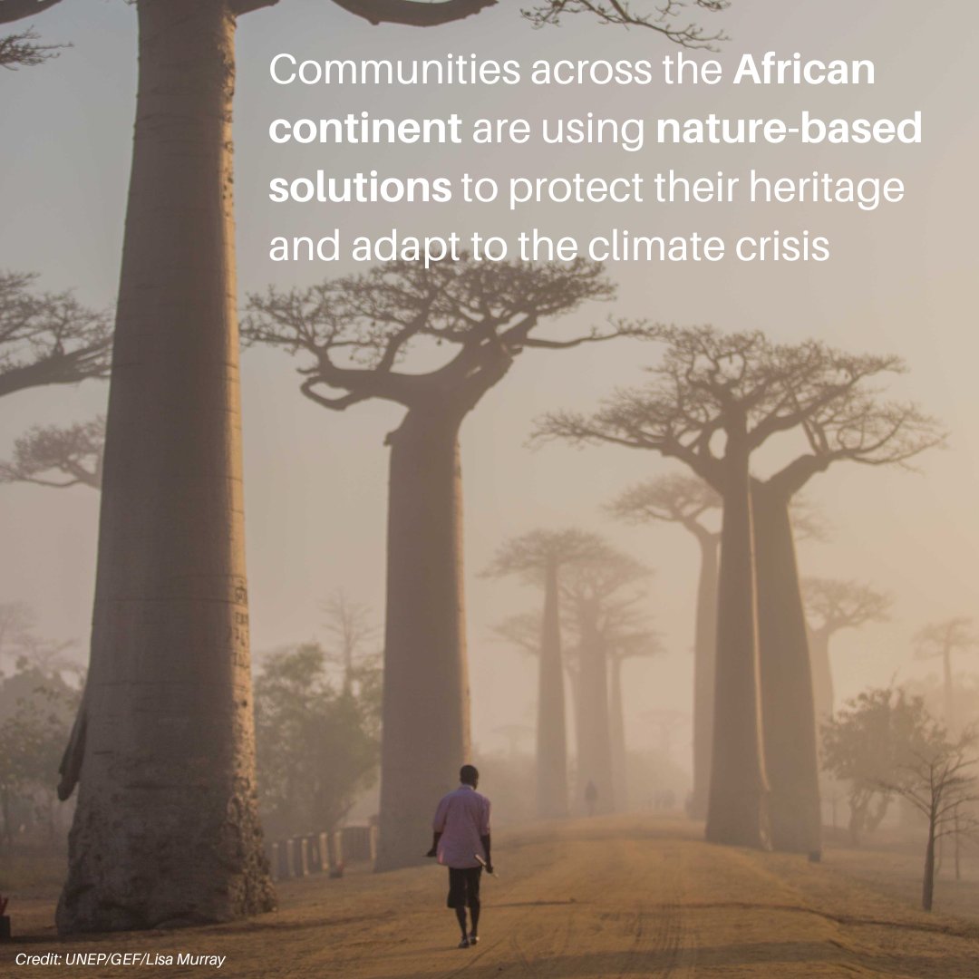 UNEP's tweet photo. On #AfricaDay, join us in celebrating how communities across the continent are using innovation and science to adapt to the changing climate. 

See more photos here: https://t.co/VEj738sYiA #ActNow https://t.co/dLNVE7Gc3C
