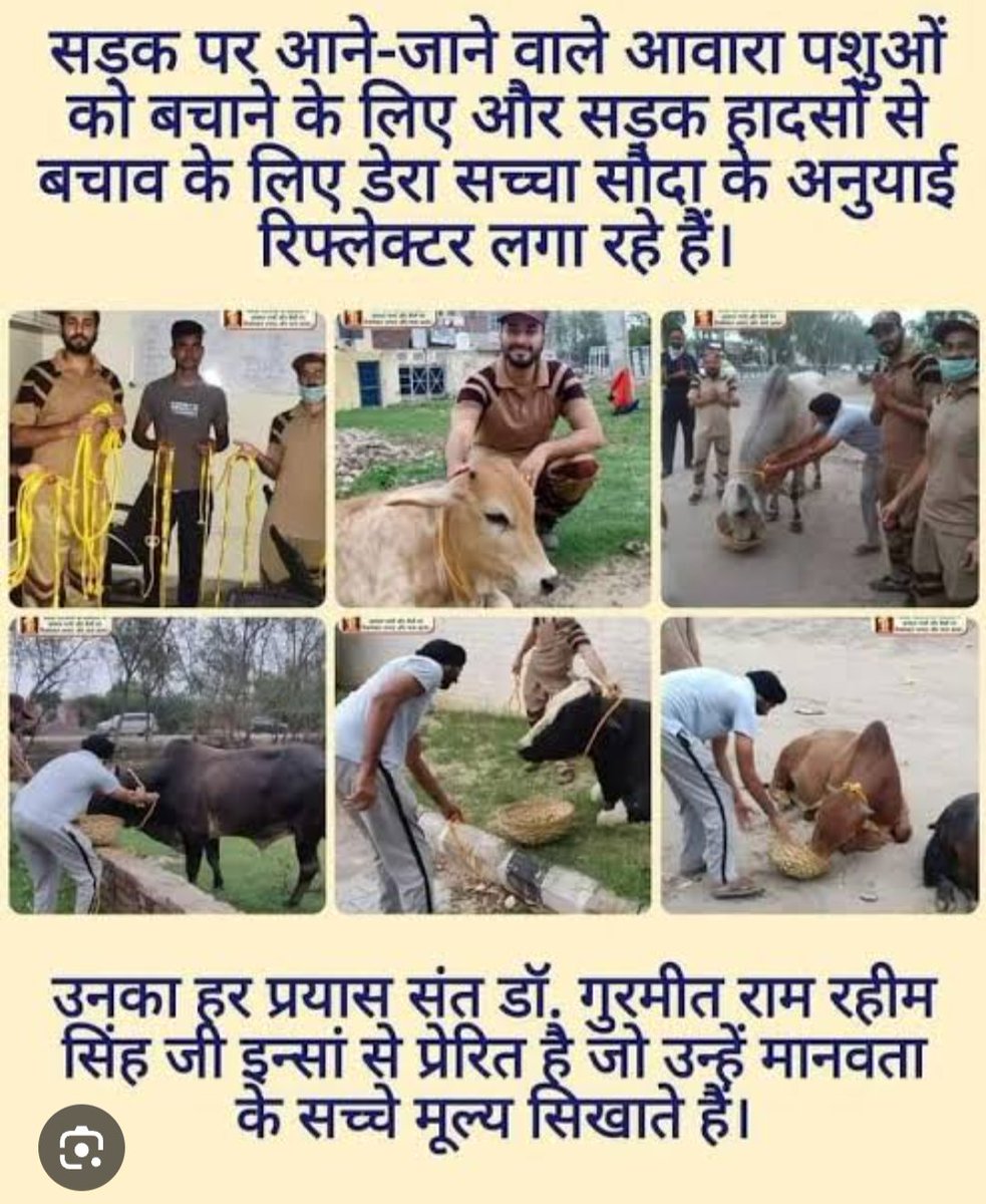 #AnimalWelfare #AnimalCare #SafeRoadSafeLives #RoadSafety #KindnessMatters #Kindness #KindToAnimals #SaveLives #DeraSachaSauda #BabaRamRahim 
#SaintDrGurmeetRamRahimSinghJi #SaintDrMSG #GurmeetRamRahim #SaintMSG #RamRahim #SaintDrMSGInsan