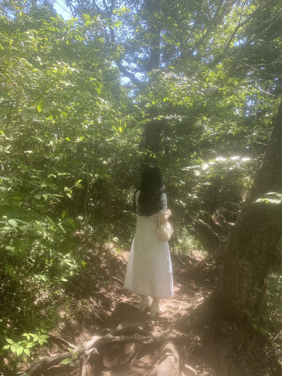 tama5min's tweet photo. 🌱松島🌱 https://t.co/jeGEIYYfiI