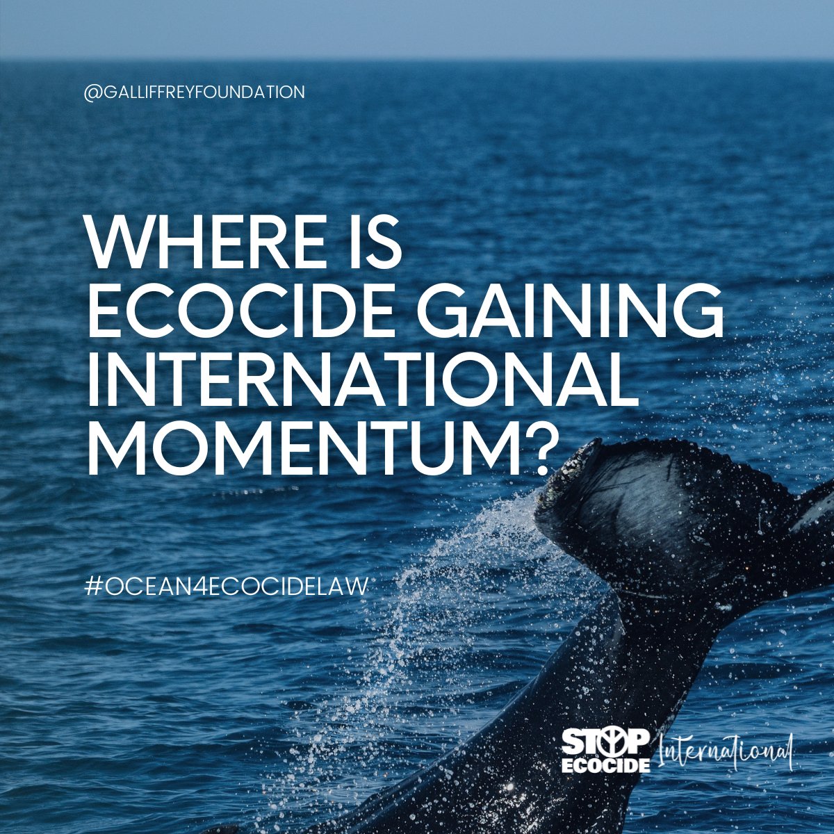 ⚖️ We  are stepping closer to when the  #ocean destruction becomes outlawed at an international level. 

But the #rightsofnature are already written into domestic #laws in several countries.

Swipe down to learn more about the movement’s momentum 👇