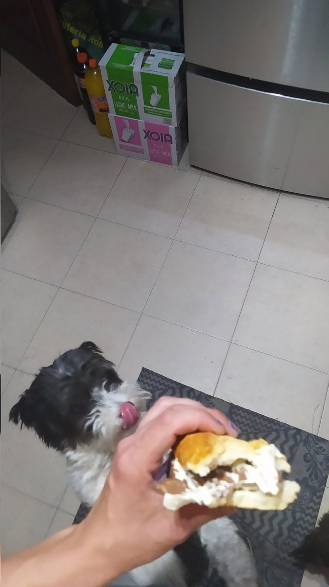 estegomanu's tweet image. Bocadillo de Magnum (sin palo por motivos evidentes)