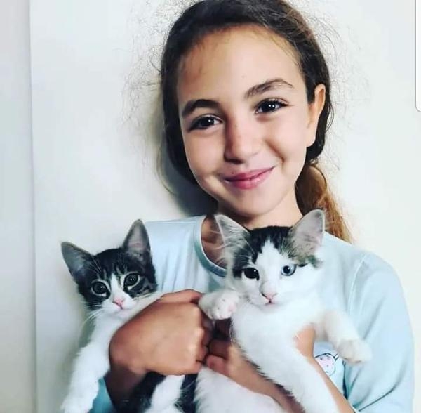 yavuzagiraliog's tweet photo. Başıboş köpek meselesi, siyaset üstüdür ve ivedilikle çözülmesi gereken bir hâli çoktan geçmiştir. Hem çocuklarımızı koruyacak ve sokakları, parkları güvenli hâle getirecek hem de sokak hayvanlarından merhametimizi esirgemeyecek şekilde; iktidarı, muhalefeti, yerel yönetimleri ve STK'ları ile el ele bu meseleyi insani, vicdani ve medeni şartlarda çözüme kavuşturmak mecburiyetindeyiz.

Bu vakte kadar, görevini yapmayan yerel yönetimlere ve duyarsız, vurdumduymaz hükûmete birçok kez hatırlattığımız meselenin çözümü de esasında bellidir:

✓ Sahipsiz köpekler sokaklardan, insanların güzergâhlarından, yaşam alanlarından kesinlikle ve ivedilikle toplanmalıdır. Yeter artık!

✓ Kısırlaştırma uygulamaları kesinlikle yetersizdir ve kalıcı çözüm değildir. Kısırlaştırma ve aşılama ile birlikte, köpekler kesinlikle barınaklarda tutulmalıdır. Asla tekrar sokağa salınmamalıdır.

✓ Binlerce çocuğumuz saldırıya uğrarken vicdansızca susan yahut üstüne bir de çocukları suçlu çıkartan kalpleri kararmış kimselerin çığırtkan seslerinin bu mevzuyu sulandırmasına ve çözümsüz kılmasına da asla müsaade edilmemelidir.

✓ Betonarme binalara ve barınaklara verilecek büyük paralarımız yoksa şehirlerin çeperlerinde, uygun noktalarda, tercihen ağaçlık-ormanlık yerlerde-arazilerde, 20-30 dönüm alanlarda, etrafını çitlerle çevirmek suretiyle, basit ve uygun bir şekilde, barınma meselesini çözebiliriz. İlla milyonlar vermek mecburiyetinde değiliz! Bu meseleyi içinden çıkılamaz ve girift hâle getiren hususlardan biri de budur. Büyük bütçelerle değil de daha küçük miktarlar ile ve imkânlar ölçüsünde barınak meselesi çözülmelidir. Bu barınaklar inşa edilirken de uzmanlardan, veterinerlerden ve STK'lardan destek alınmalıdır.

✓ Evcil hayvanlarını sokağa terk edenler için, çok ciddi ve caydırıcı cezalar getirilmelidir. Barınaklardan köpek sahiplenmek kolaylaştırılmalı ancak sonrasındaki takibi çok sıkı ve kurallı olmalıdır. Yazları, tatil bölgeleri, bir hevesle alınan ve ardından terk edilen kedi ve köpeklerle doludur. Bu masum canların satışı, internetten pazarlanması ve kontrolsüz ticari üretimi, "nitelikli hayvan istismarı" kapsamında yasaklanmalıdır. Sahiplendirme ise teşvik edilmeli ve çok sıkı kurallara bağlanarak karne ve çip ile takibi yapılmalıdır.

✓ Sokak köpekleri sorununun çözümü için, siyasi ve toplumsal bir ayrışmaya imkân verilmeden ve kamuoyunu ikiye bölmeden, hem hükûmete hem belediyelere hem de STK'lara büyük sorumluluk düşmektedir. Hiç değilse bari bu problemimizi uzlaşma ile çözelim!

✓ Hayvanseverlerin ve STK'ların, sokak hayvanlarını sokaklarda, parklarda değil, bu barınaklarda beslemesinin planlaması yapılmalıdır. Lokantalar, kafeler ve otellerin artan yemeklerinin toplanıp barınaklarda köpeklere verilmesi, belediyeler öncülüğünde sağlanmalıdır. Bu sayede hem çöpe giden gıda israfı azaltılmış hem de beslenme maliyetleri düşürülmüş olacaktır. Sosyal medyada bağıranları bilemeyiz ancak samimi ve vicdanlı hayvanseverler, bu işin organizasyonunda severek yer alacaklardır! Uyutmak nasıl merhametsizlikse çocuklarımızı bu köpeklerin saldırılarından koruyamamak da daha büyük bir merhametsizliktir! Yıllardır, bir inat ve vicdansızlıkla konuyu kangren hâline getiren de bu anlayışsızlıktır. Toplumu ikiye bölmeye gerek yok! Yıllardır, meseleyi görmezden gelen yetkililerin, görevini yapmamasının ceremesini çocuklarımız çekiyordu; şimdi de bu ihmalin bedeli, büyük bir problem hâline gelmiş olan masum köpeklere ödettirilecek noktaya geldi. Hâlbuki yukarıda çerçevesini çizdiğimiz şekliyle makul ve vicdanlı çözümler ortadadır.

Kısırlaştırılan hayvanların hayatları normal takvimlerinde sona ereceği için, beş yıl sonra, köpek popülasyonu da muhakkak olarak barınaklarda kontrol altına alınmış olacaktır.

Toparlarsak; tüm siyasileri ve kamuoyunu, akıl ve vicdan eşliğinde bu mevzuya ciddiyetle eğilmeye ve problemi artık ortadan kaldırmaya davet ediyoruz.

Türk Milleti, 2024 yılında, hayatını sürdürürken bu ilkelliği gerçekten hak etmiyor.

Başta çocuklarımız, kadın ve yaşlı vatandaşlarımız olmak üzere, milletimizi bu başıboş köpek meselesinden korumak ve kurtarmak mecburiyetindeyiz. Artık bir insanımızı daha kaybetmeden bu problemi çözüme kavuşturmalıyız.
