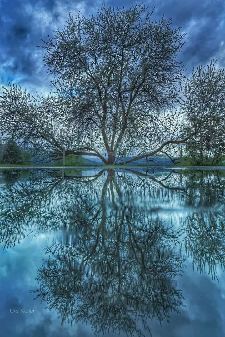 Beautiful pond in Missoula, 💙Montana USA💙🌀🌀💙