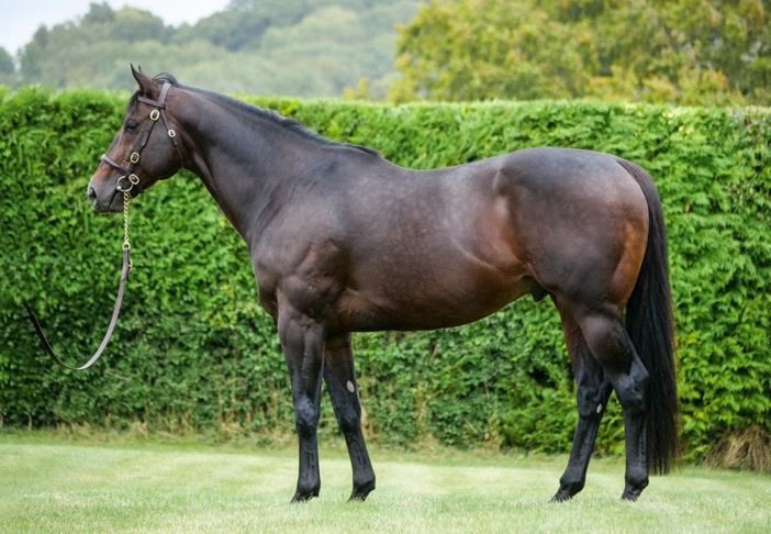 Whitsbury Manor Stud tweet media