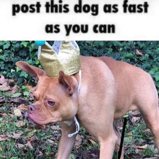 RUN TO YOUR TWITTER PROFILE. $FOG