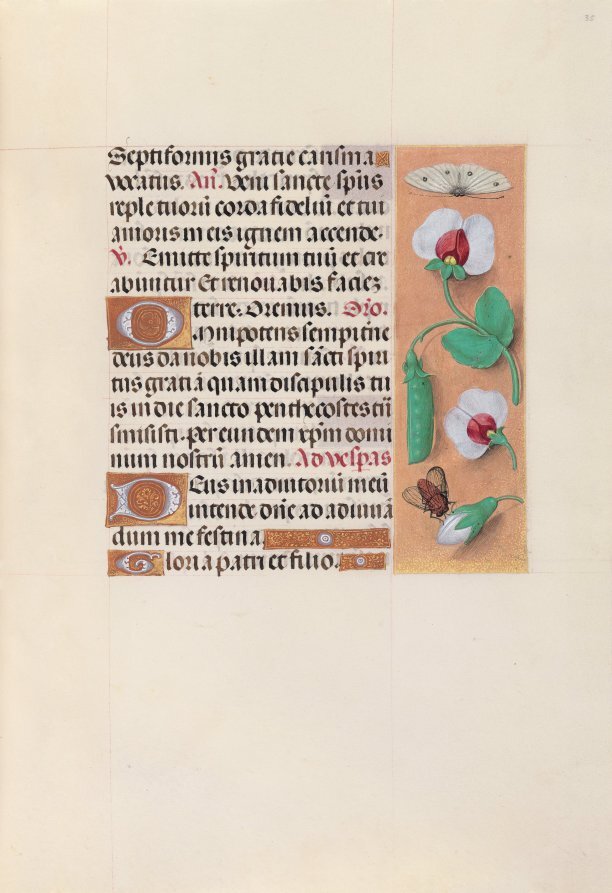 Hours of Queen Isabella the Catholic, Queen of Spain: Fol. 35r clevelandart.org/art/1963.256.3…