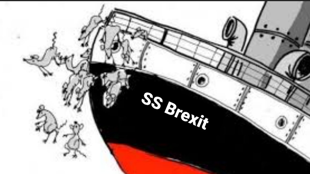 IoiTherealnacho's tweet photo. @mrjamesob Brexiters running away from the #BrexitCrimeScene, who'd have thought π€ https://t.co/wgelVKil9O