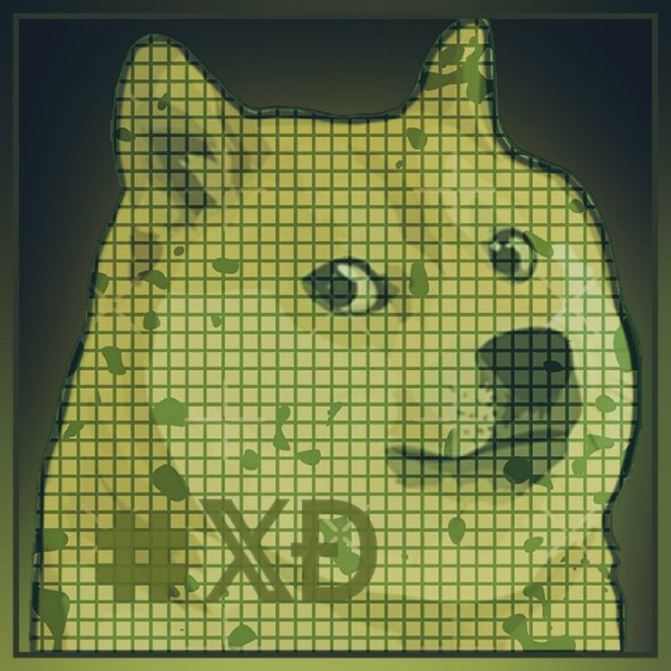 XPayments coming for #Dogecoin 

Artwork by @Ciske53856449