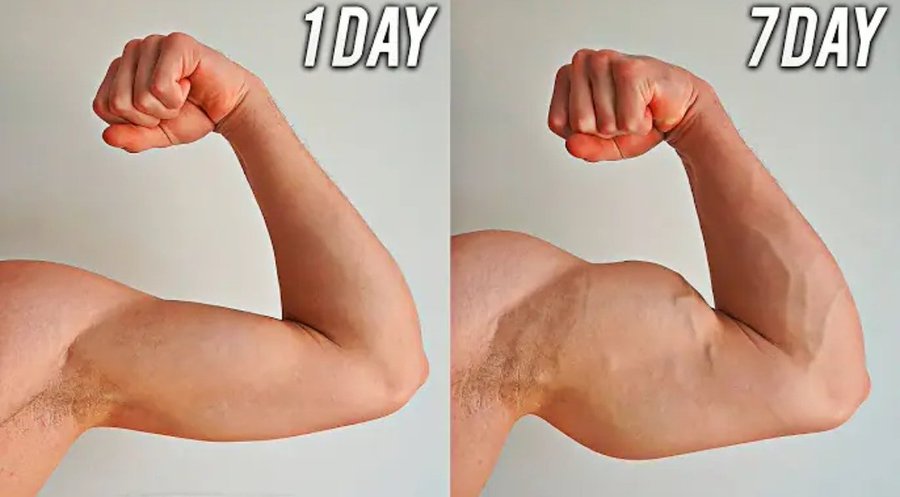 Culture_Desk_'s tweet photo. GET BIGGER ARMS IN 30 DAYS (HOME WORKOUT) https://t.co/RBPiPipOm9