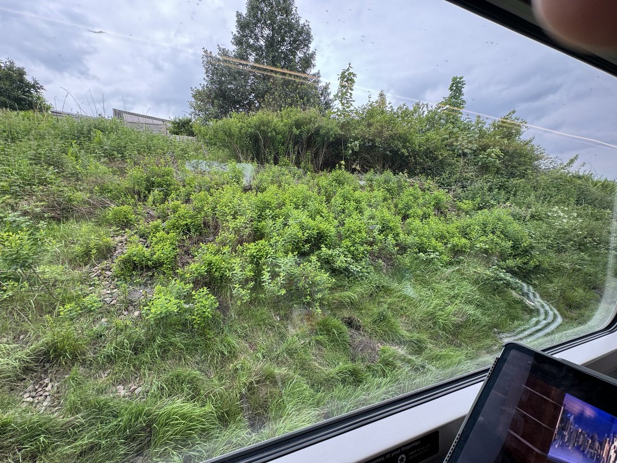 Having a lovely day with the kids watching this patch of ground outside Newcastle, from a train window, for two and a half hours. This is a half-term they won’t soon forget.