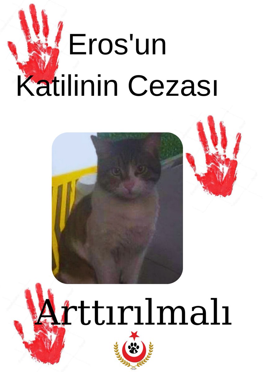 HAYVANLARI KORUMA VAKFI tweet media