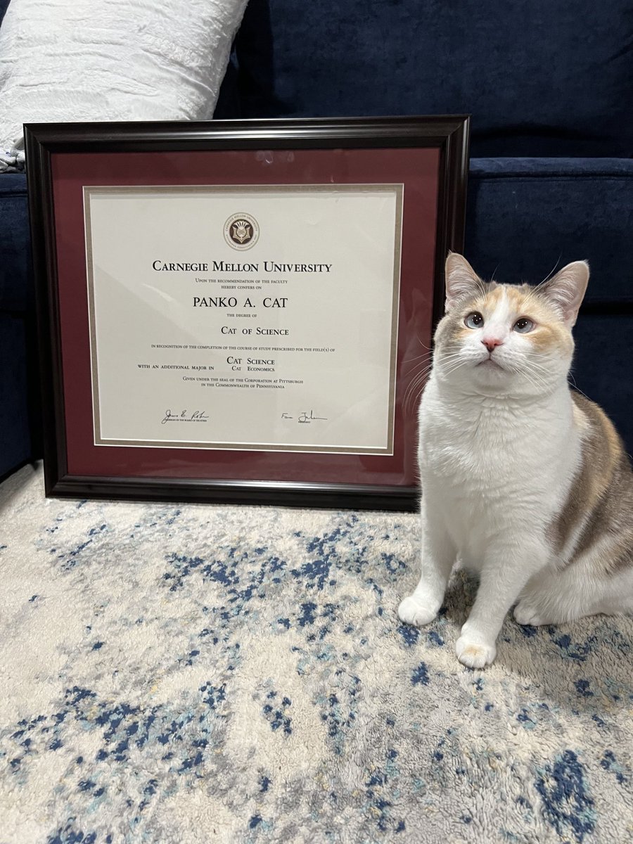 Qualified to cat.